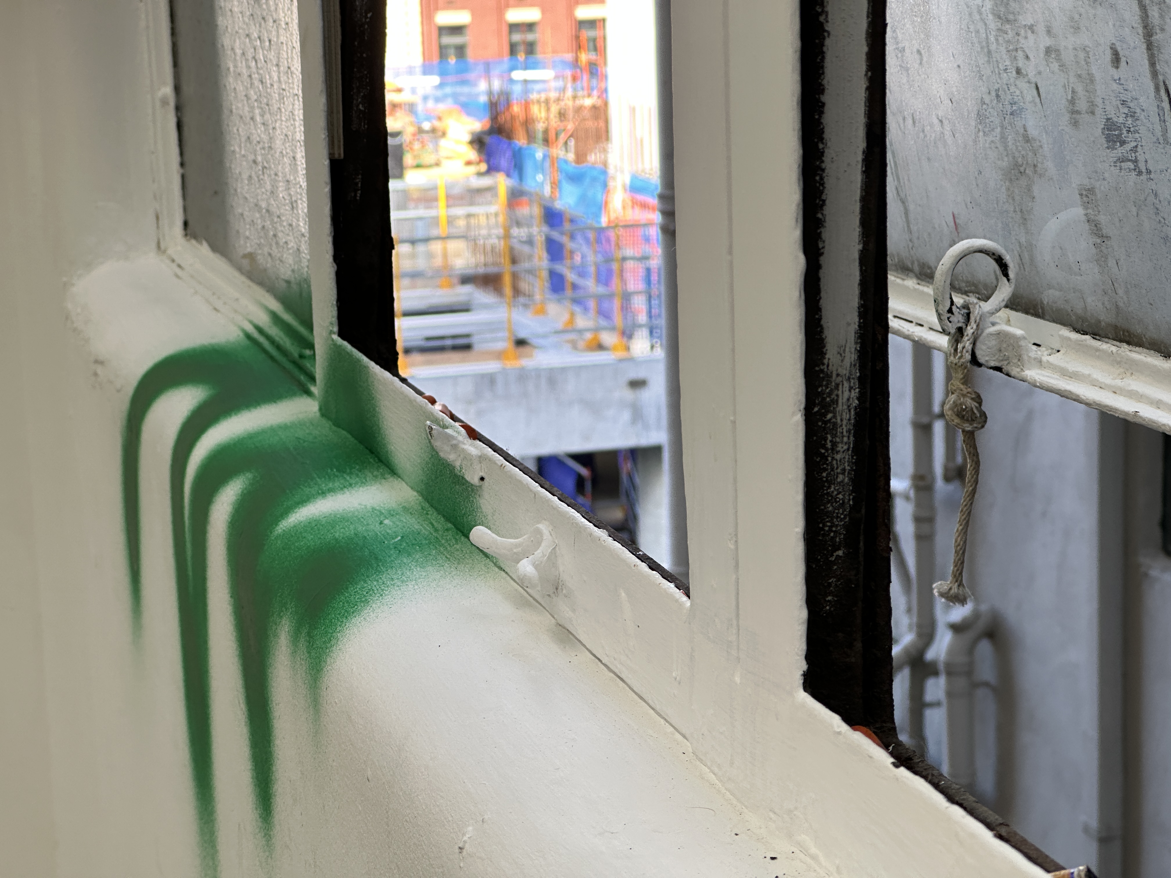 GREEN CORONET thumbnail image