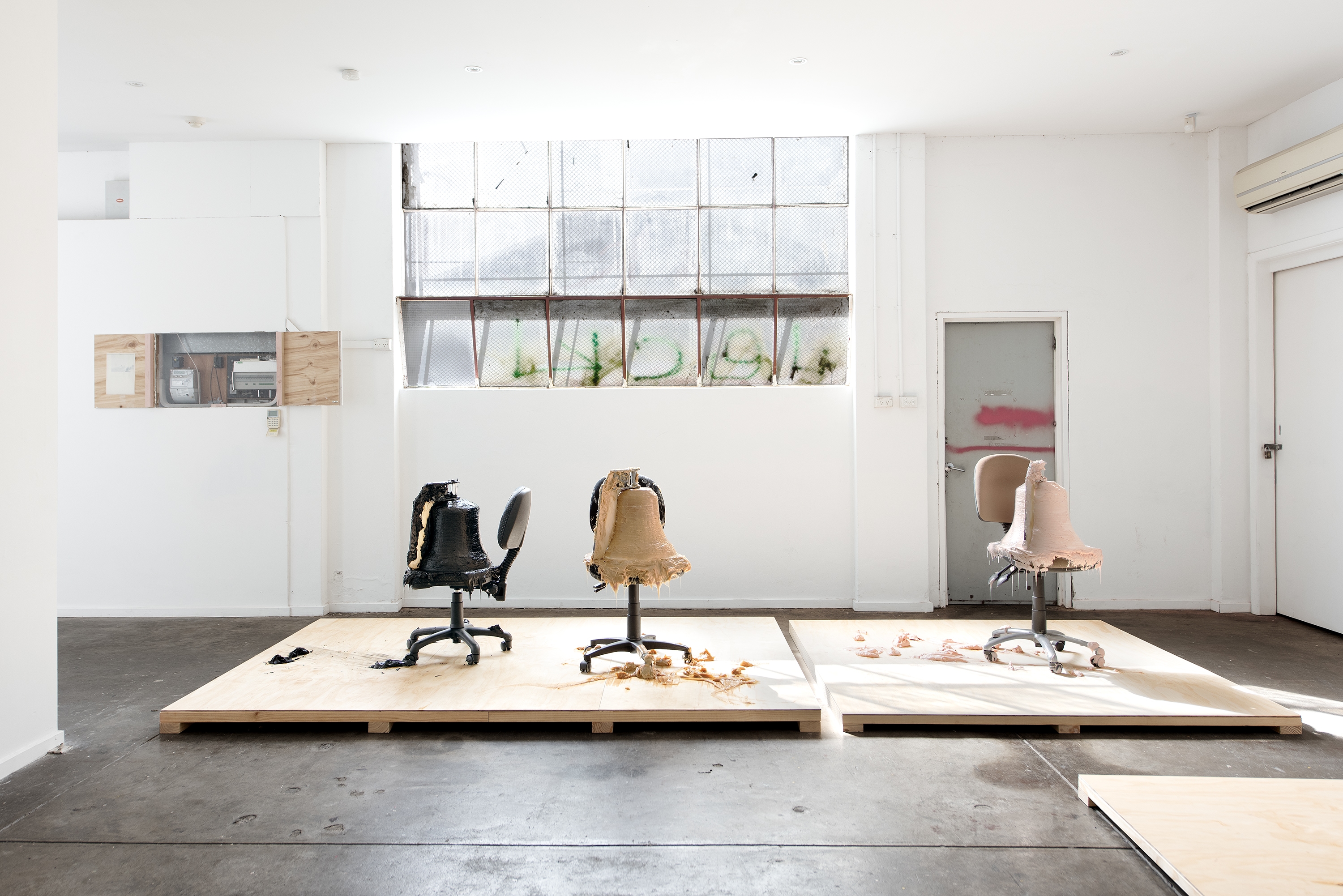 PAW CASSIAN thumbnail image