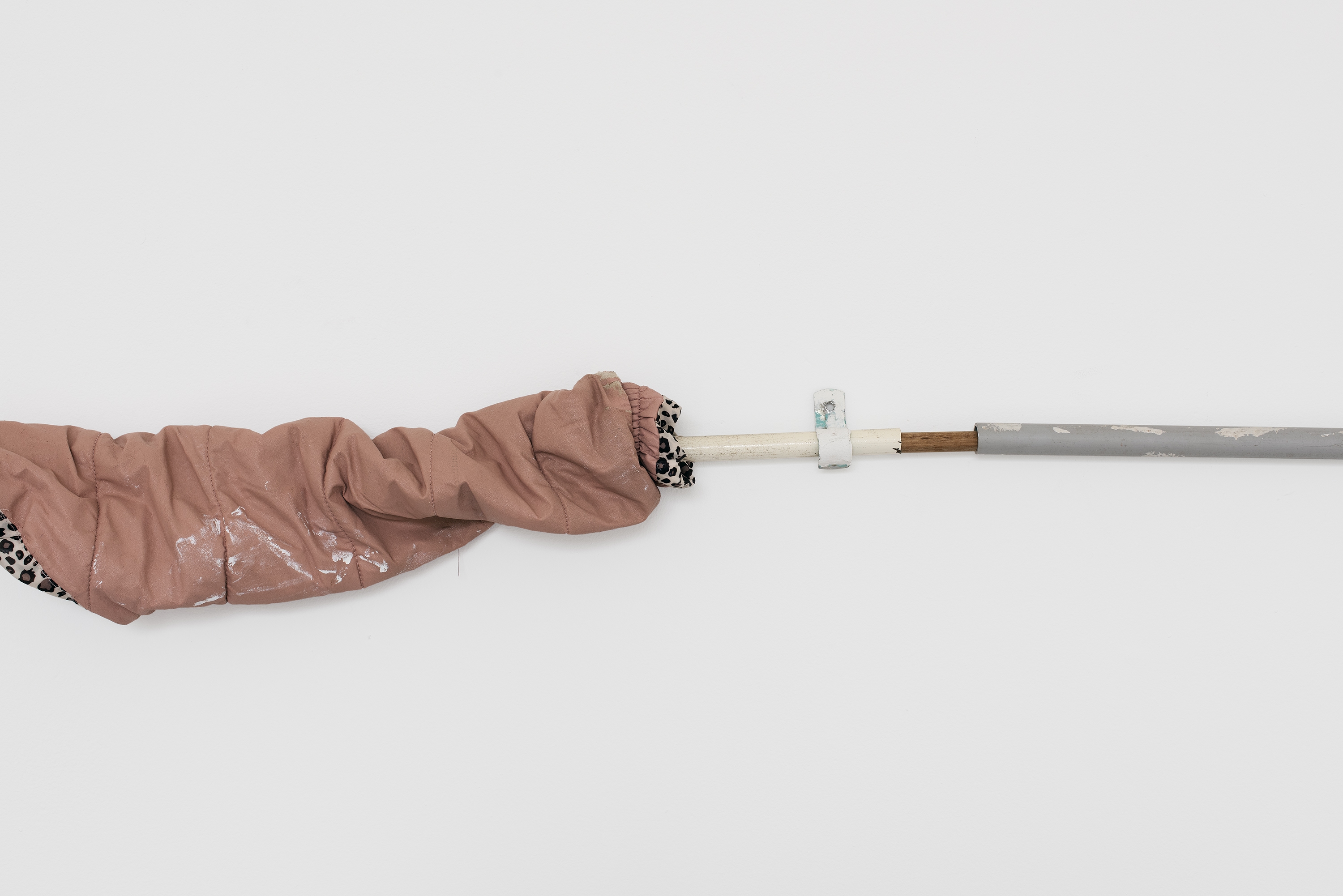 PAW CASSIAN thumbnail image